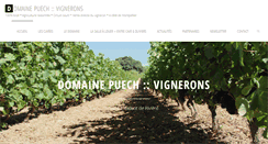 Desktop Screenshot of domainepuech.com
